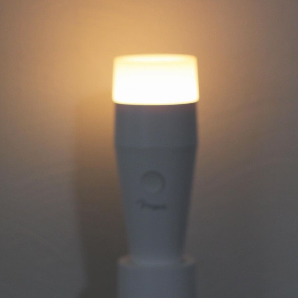 PLUMINUS/mous./美顔器・マッサージを使ったクチコミ(3枚目)