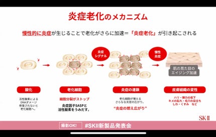 スキンパワー アドバンスト クリーム/SK-II/フェイスクリームを使ったクチコミ(4枚目)