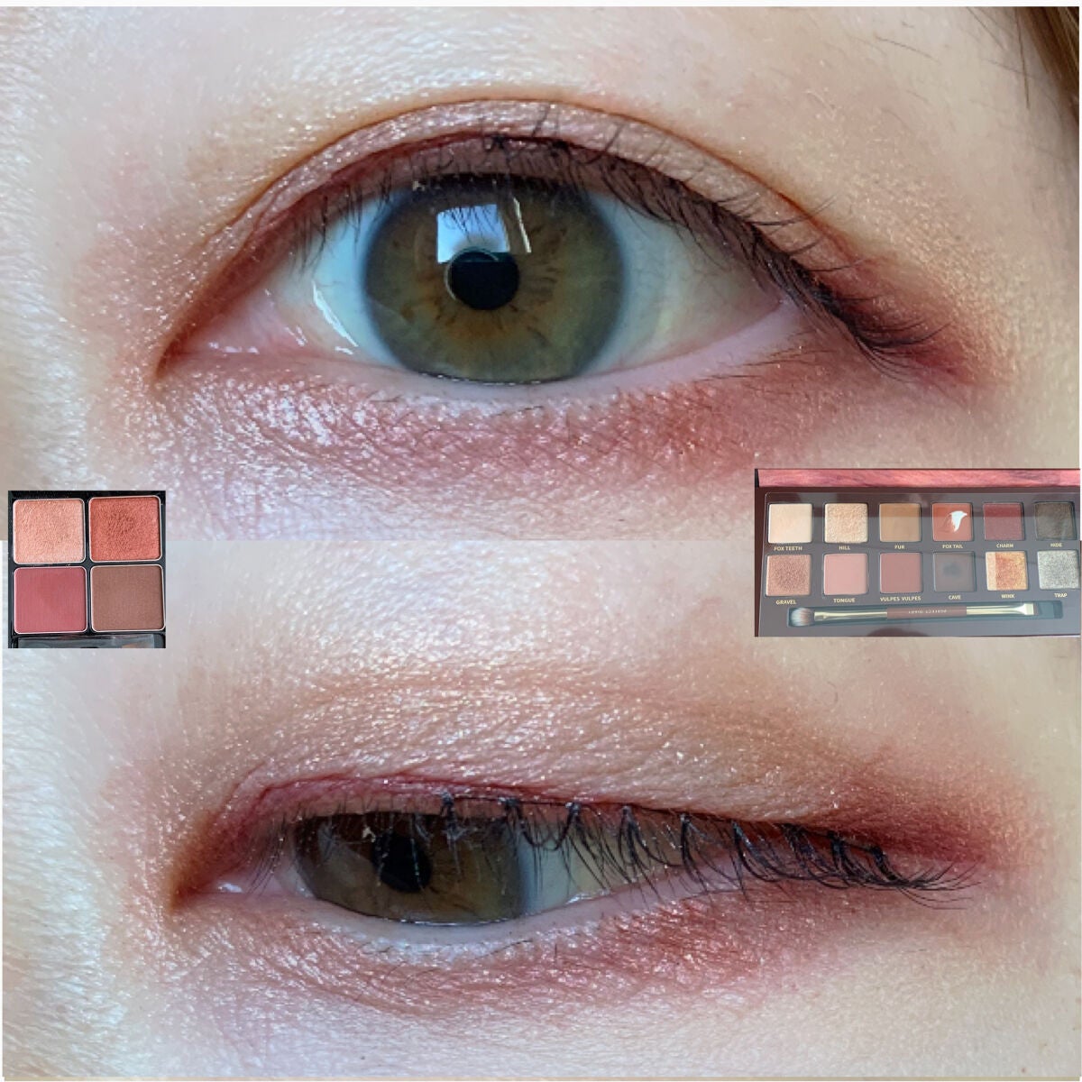 エクスプローラ12色 動物アイシャドウパレット/PERFECT DIARY/アイシャドウパレットを使ったクチコミ(3枚目)