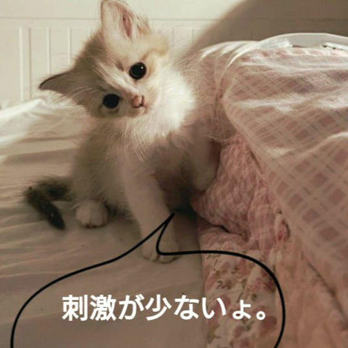 コラージュ 液体石鹸A/コラージュ/その他洗顔料を使ったクチコミ(4枚目)