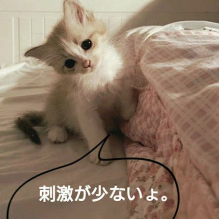 コラージュ 液体石鹸A/コラージュ/その他洗顔料を使ったクチコミ(4枚目)