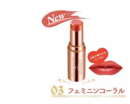 メルティールミナスルージュ/キャンメイク/口紅を使ったクチコミ(1枚目)