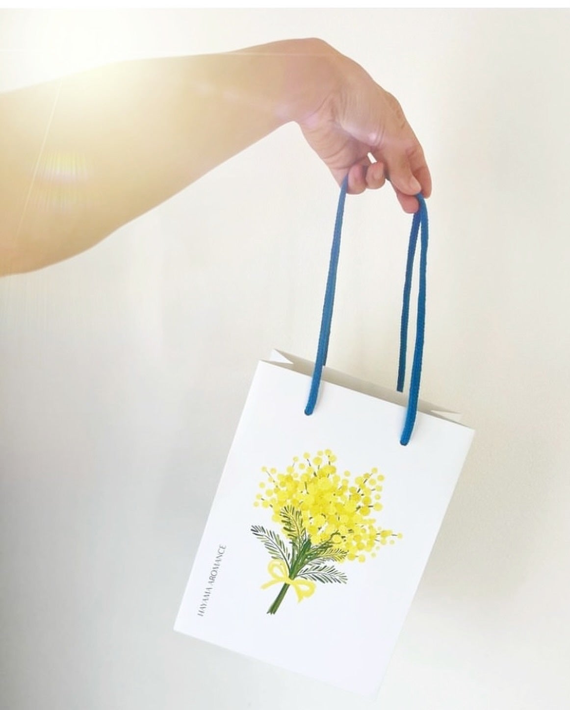 Audrey フレグランス サボン/HAYAMA AROMANCE/ボディ石鹸を使ったクチコミ(3枚目)