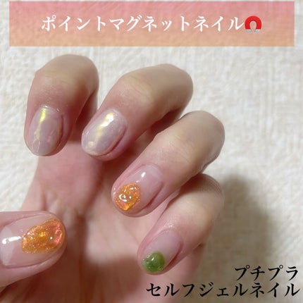 マグネットジェル Prismシリーズ/NAILTOWN/ジェルネイルを使ったクチコミ(1枚目)