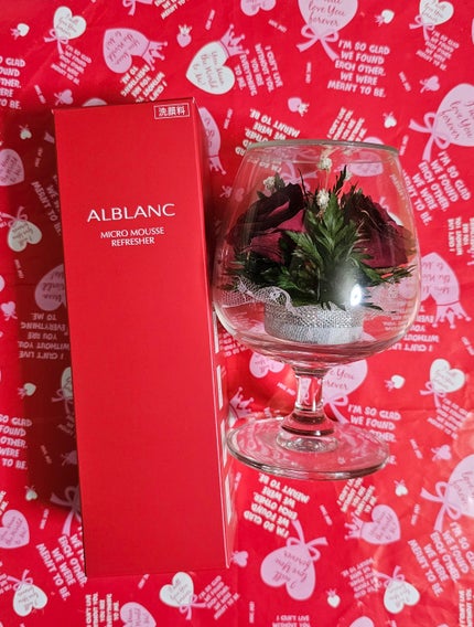 マイクロムース リフレッシャー/ALBLANC/泡洗顔を使ったクチコミ(1枚目)