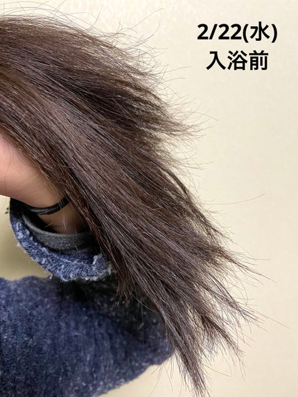 柳屋 あんず油/柳屋あんず油/ヘアオイルを使ったクチコミ(6枚目)