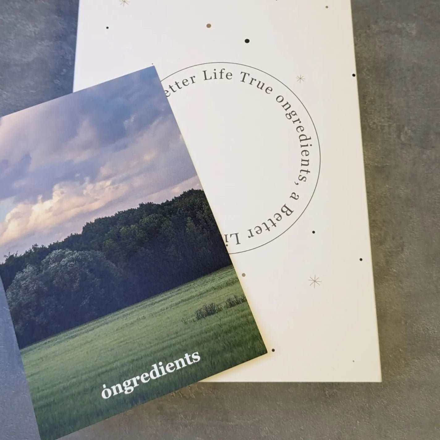 ディープカーミングクリーム/Ongredients/フェイスクリームを使ったクチコミ(6枚目)