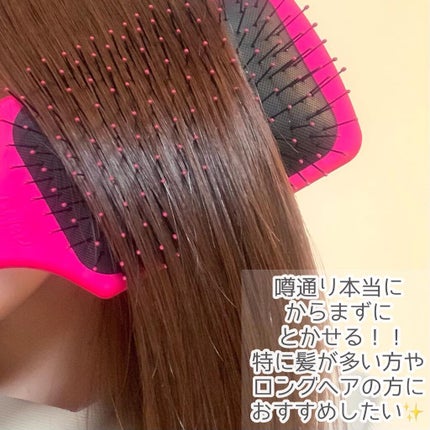 プロパドル ディタングラー ピンク/ウェットブラシ/ヘアブラシを使ったクチコミ(6枚目)