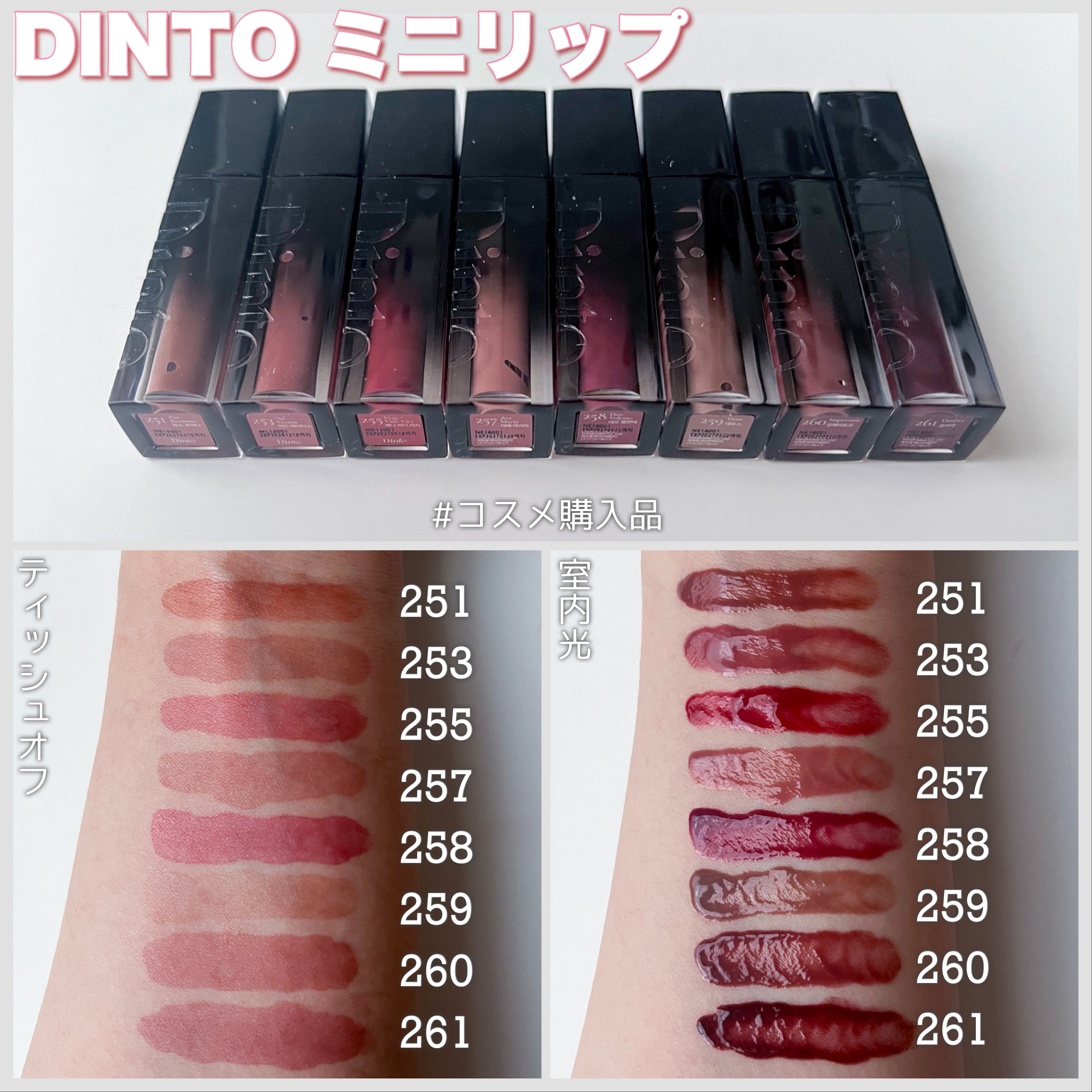 ブラーグロイリップティント/Dinto/リップティントを使ったクチコミ（1枚目）