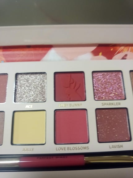 エクスプローラ12色 動物アイシャドウパレット/PERFECT DIARY/アイシャドウパレットを使ったクチコミ(4枚目)