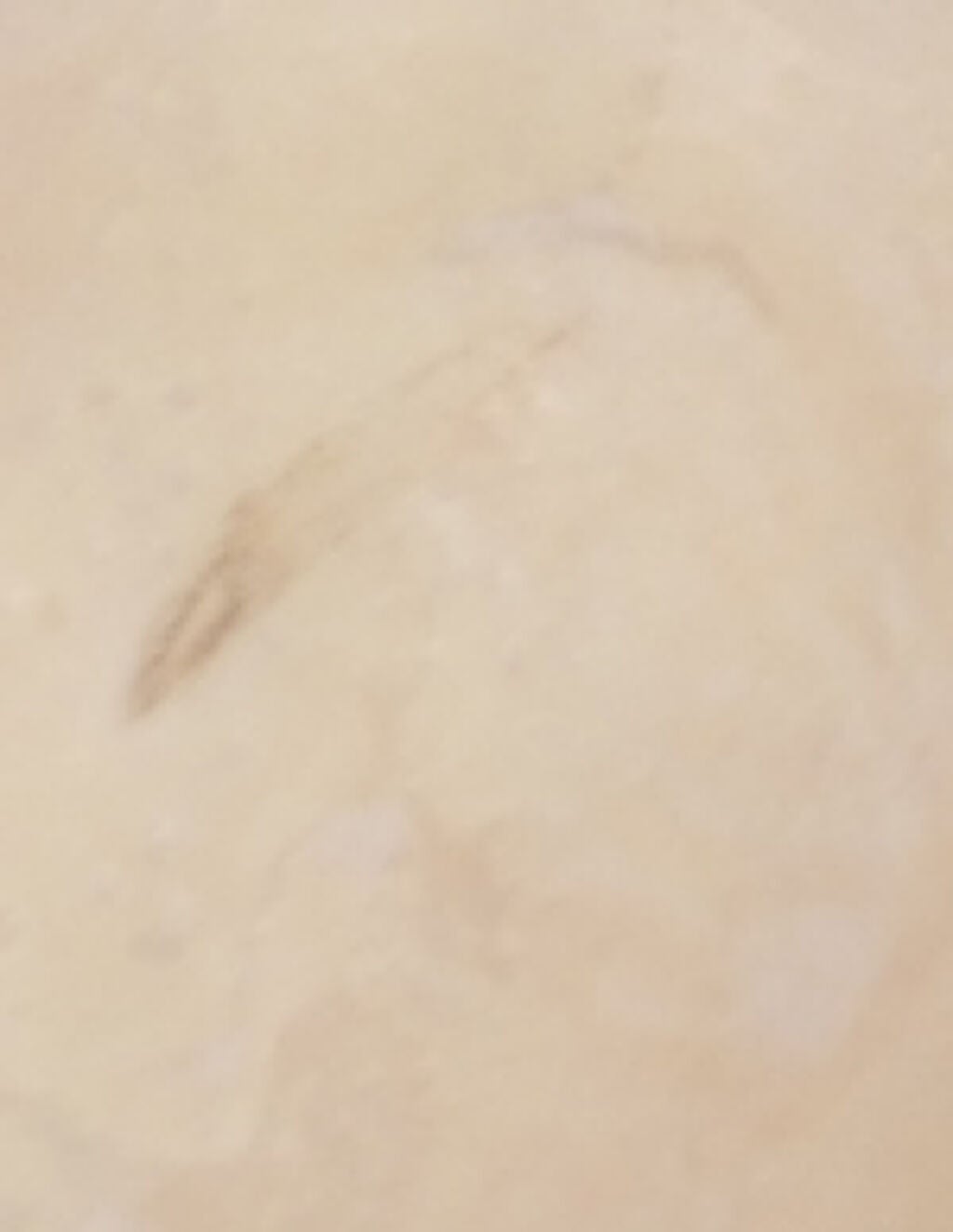 ネクターブラン クレンジングオイル /Melvita/オイルクレンジングを使ったクチコミ(4枚目)