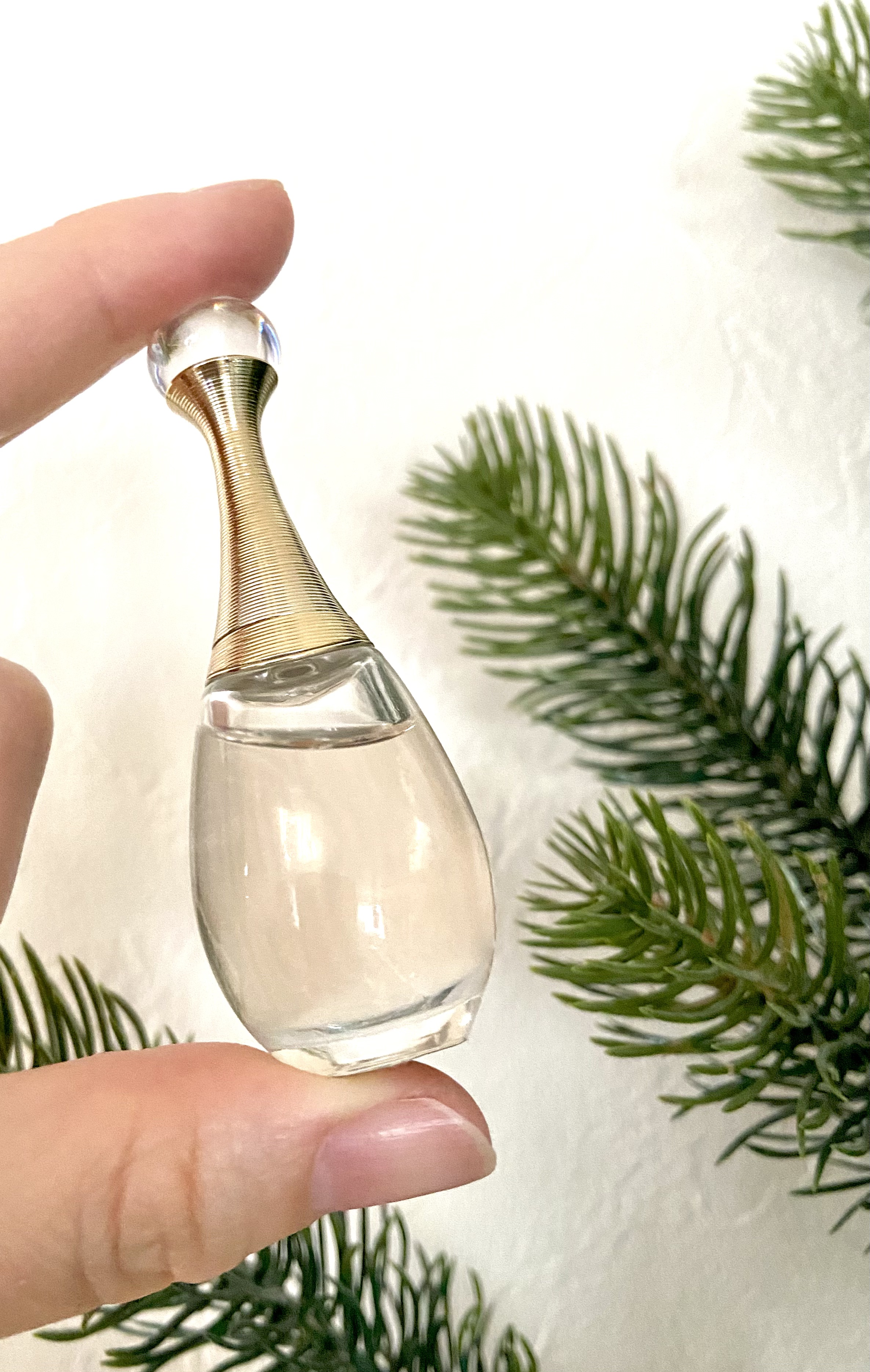 ジャドール オードゥ パルファン/Dior/香水(レディース)を使ったクチコミ（1枚目）