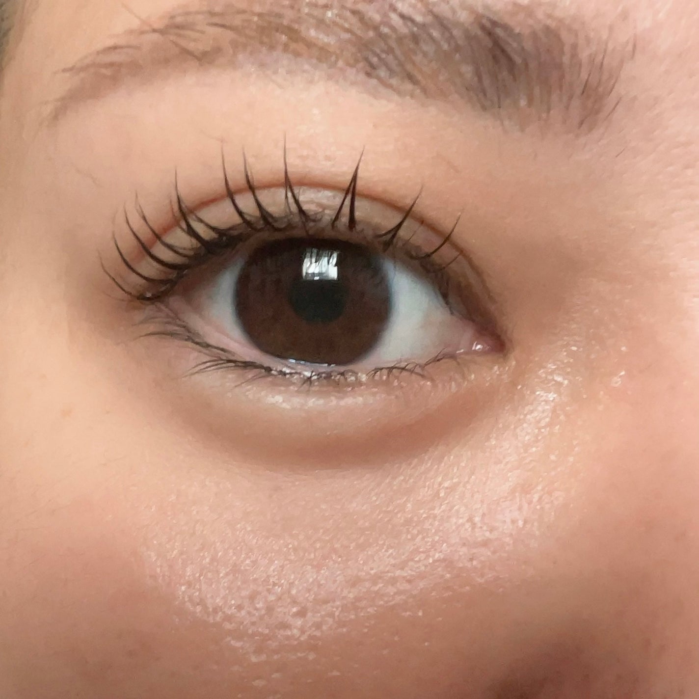 セルフまつ毛パーマキット/シルキーロールズ/その他キットセットを使ったクチコミ(7枚目)