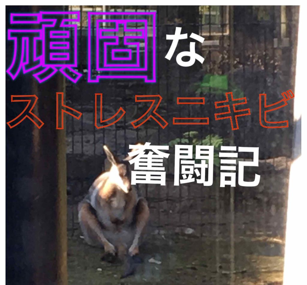 泡洗顔料 しっとりタイプ/オードムーゲ/泡洗顔を使ったクチコミ（1枚目）