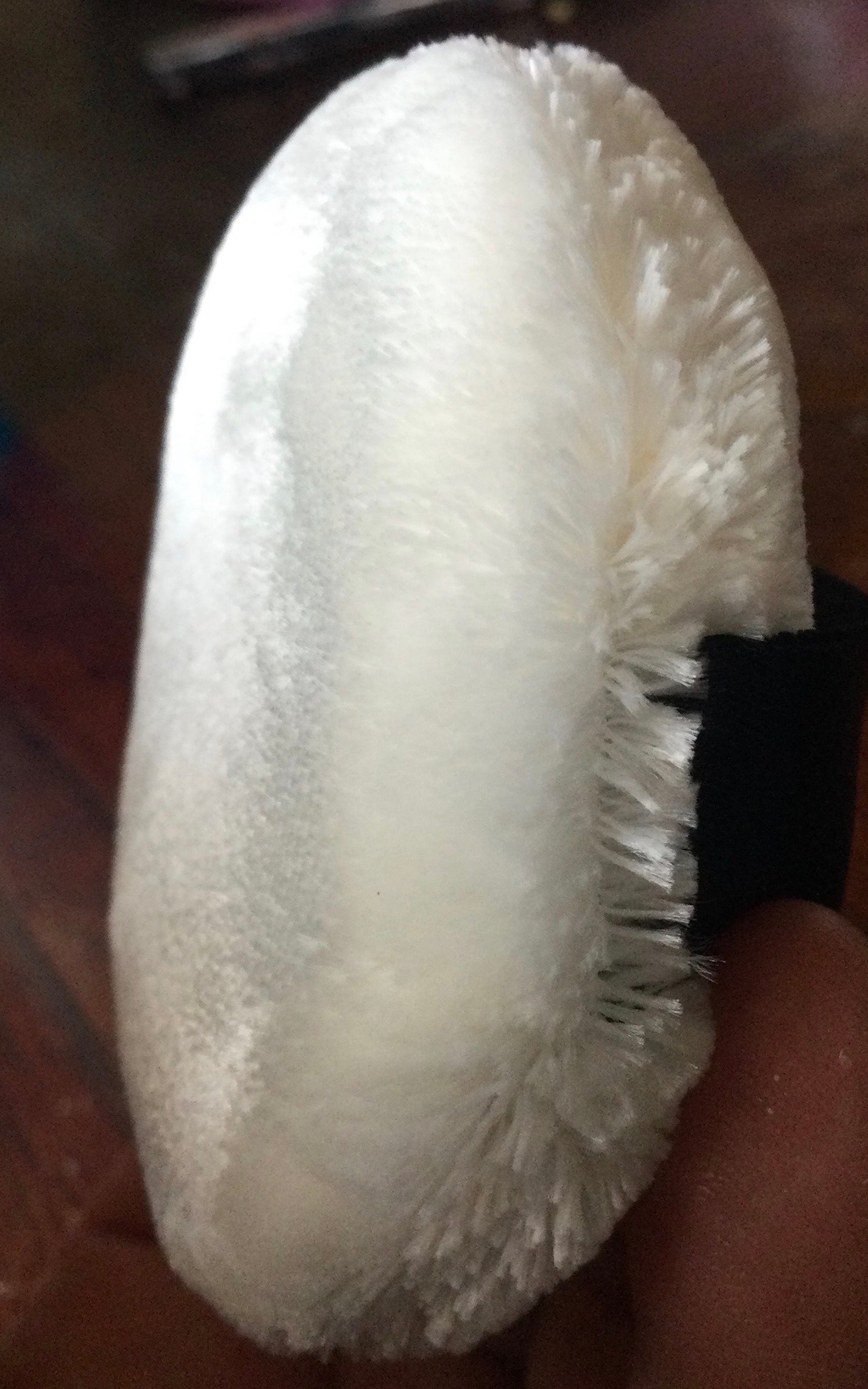 プードルトランスパラントn/クレ・ド・ポー ボーテ/ルースパウダーを使ったクチコミ(2枚目)