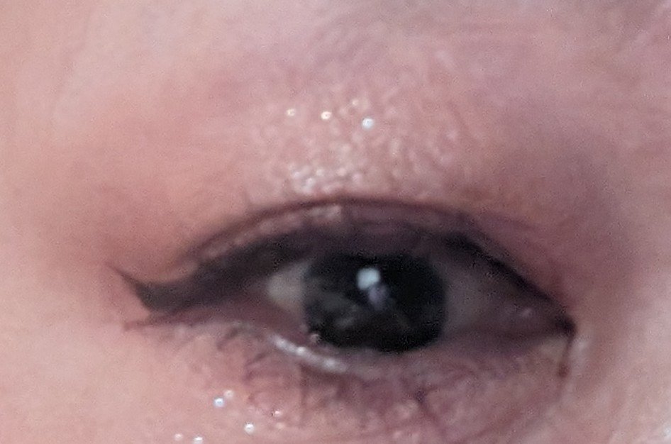 プライムリキッドアイライナー リッチキープ/ヒロインメイク/リキッドアイライナーを使ったクチコミ（2枚目）