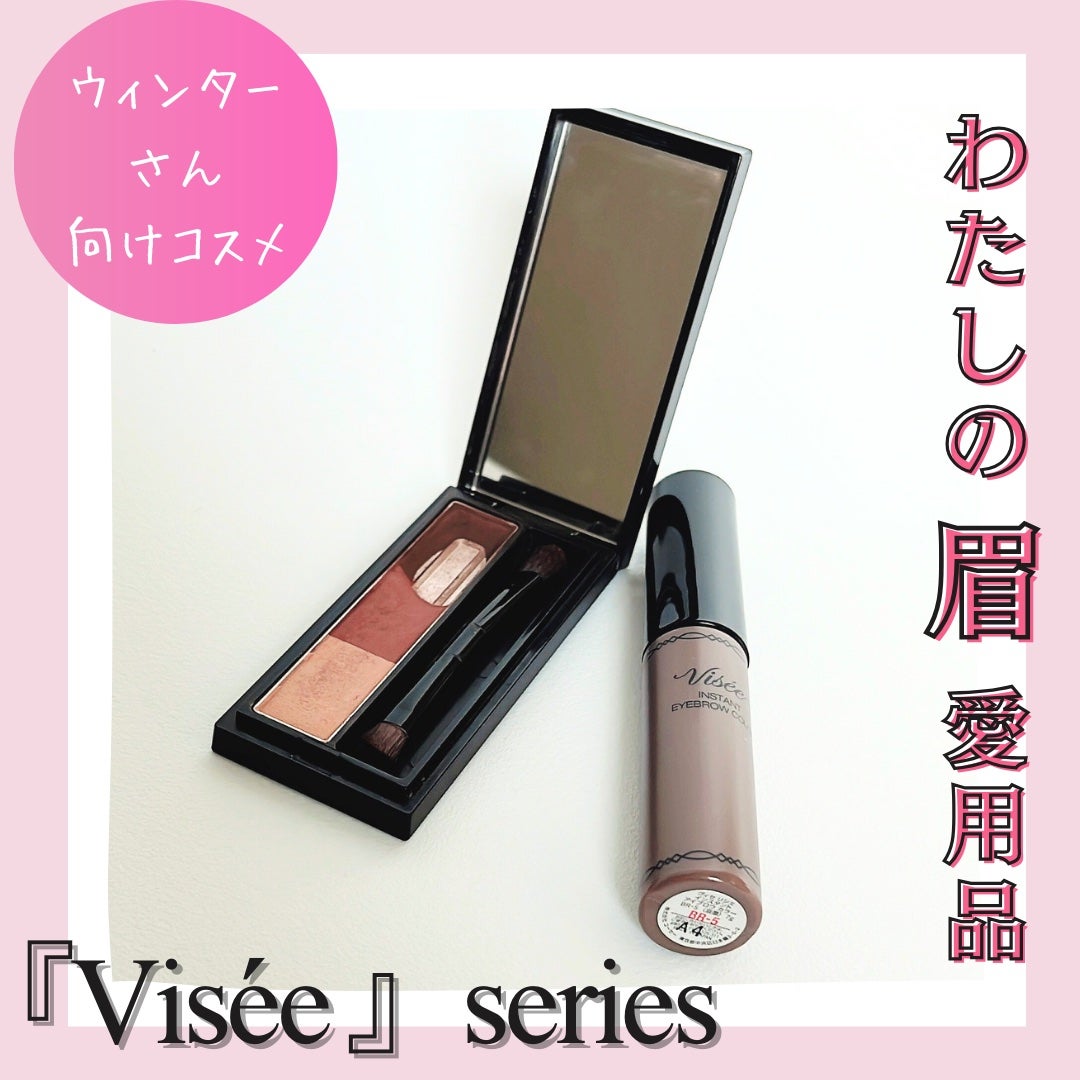 ヴィセ リシェ アイブロウパウダー/Visée/パウダーアイブロウを使ったクチコミ(1枚目)