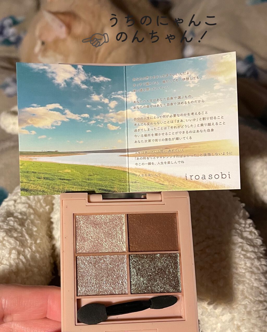 イロアソビ 4色アイパレット/iroasobi/アイシャドウパレットを使ったクチコミ(2枚目)