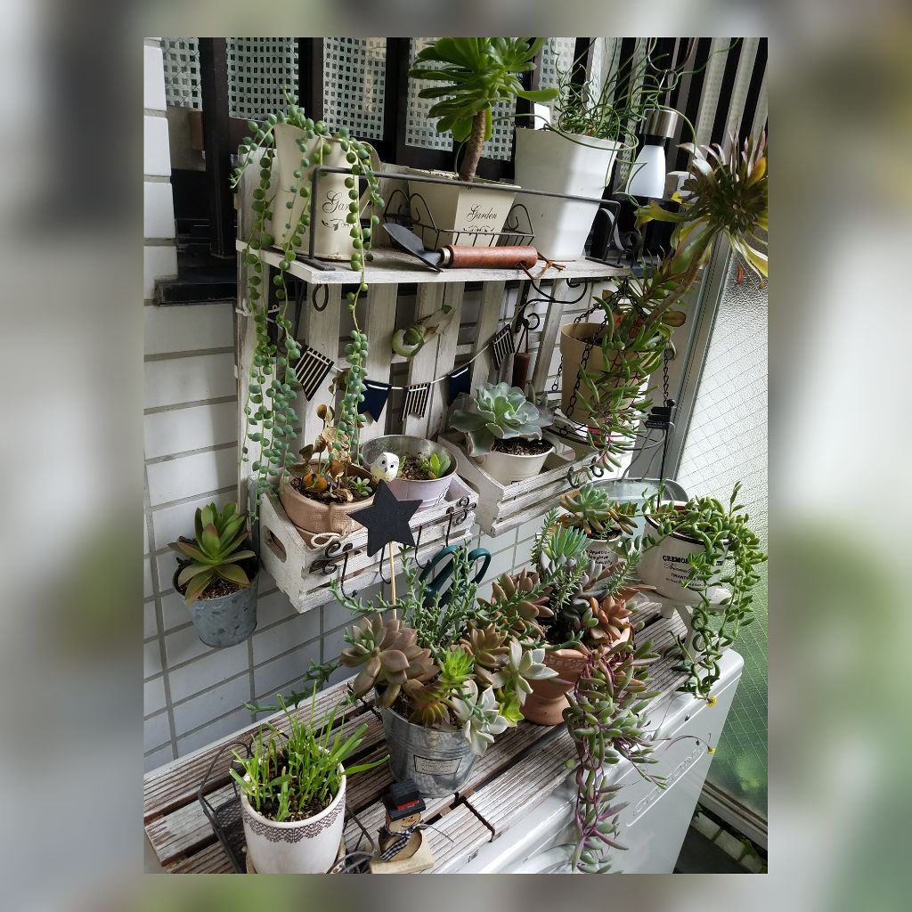 セリア金具類（取っ手）/セリア/その他を使ったクチコミ（2枚目）