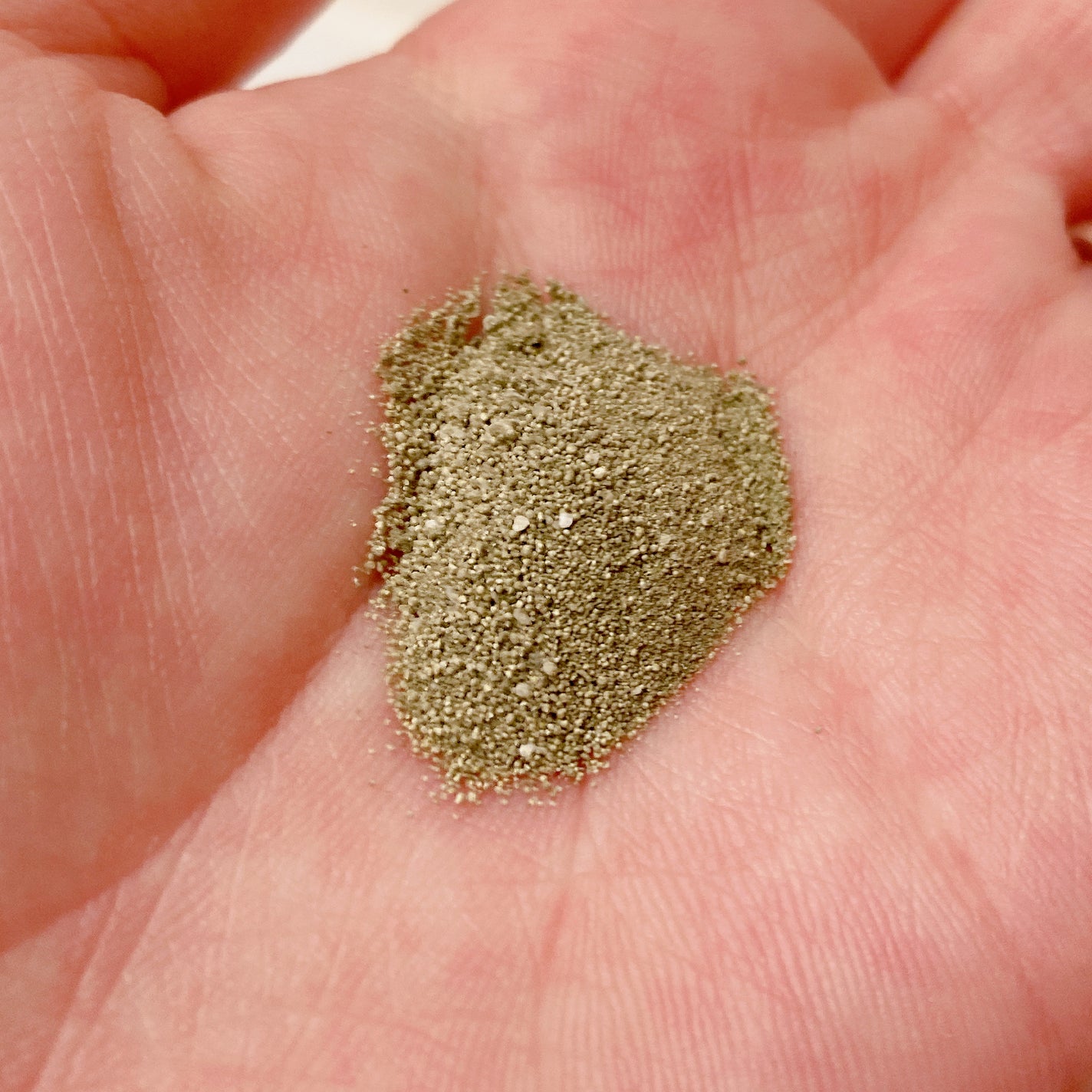ワフードメイド 宇治抹茶酵素洗顔/pdc/洗顔パウダーを使ったクチコミ(3枚目)