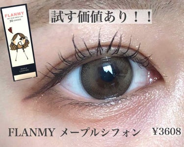 カラコン﻿
FLANMYのメープルシフォンを紹介します👀﻿
﻿
DIA 14.5mm﻿
BC  8.6mm﻿
着色直径13.7mm﻿
度あり◎﻿
﻿
今まで何十種類のカラコンを試してきた中で、一番気に入