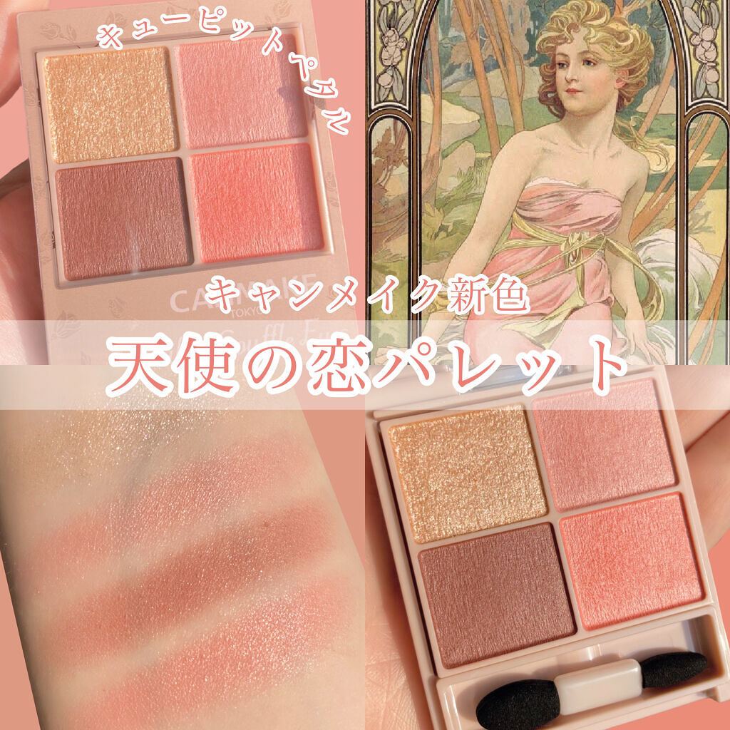 シルキースフレアイズ（マットタイプ）/キャンメイク/アイシャドウパレットを使ったクチコミ（1枚目）