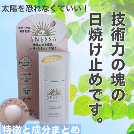 デイセラム/アネッサ/化粧下地を使ったクチコミ(1枚目)