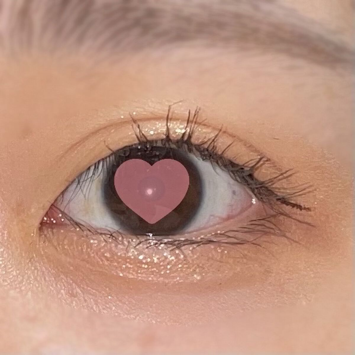 プロ アイ パレット/CLIO/アイシャドウパレットを使ったクチコミ（2枚目）