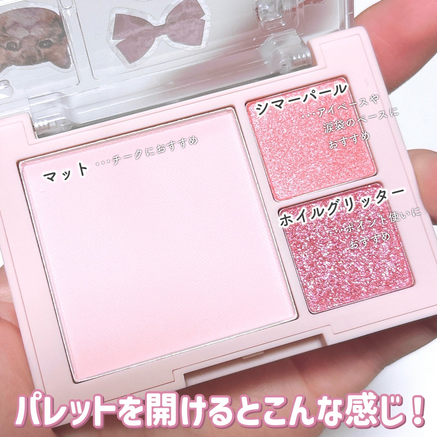 (ルシャブートコレクション)チーク&アイ マルチユーズ パレット/Dinto/パウダーチークを使ったクチコミ(3枚目)