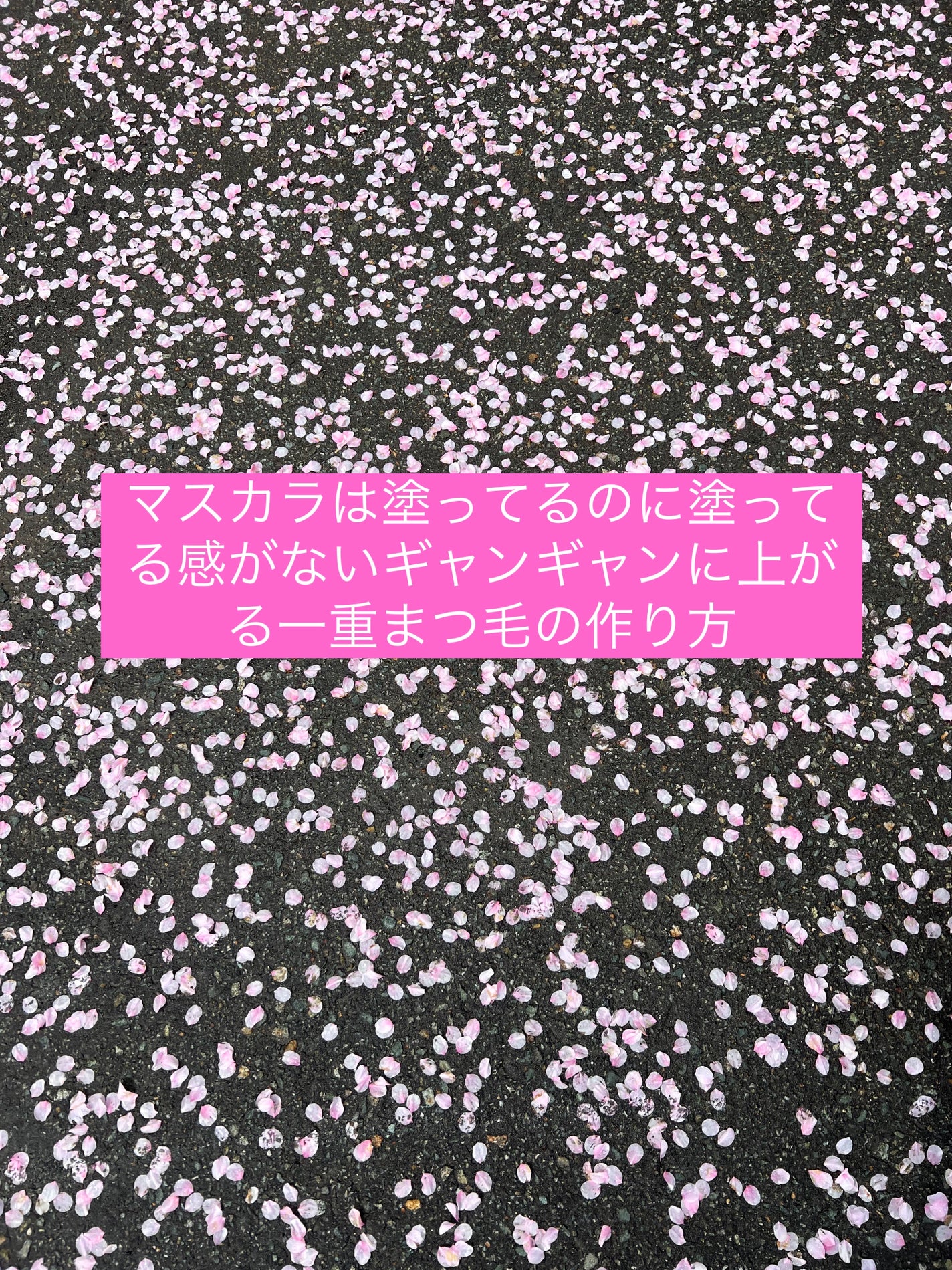 カールキープベース/CEZANNE/マスカラ下地を使ったクチコミ(1枚目)