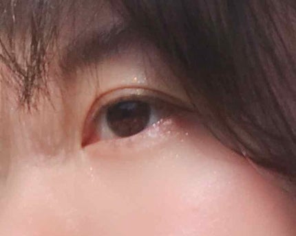 プロ シングル シャドウ/CLIO/単色アイシャドウを使ったクチコミ(2枚目)