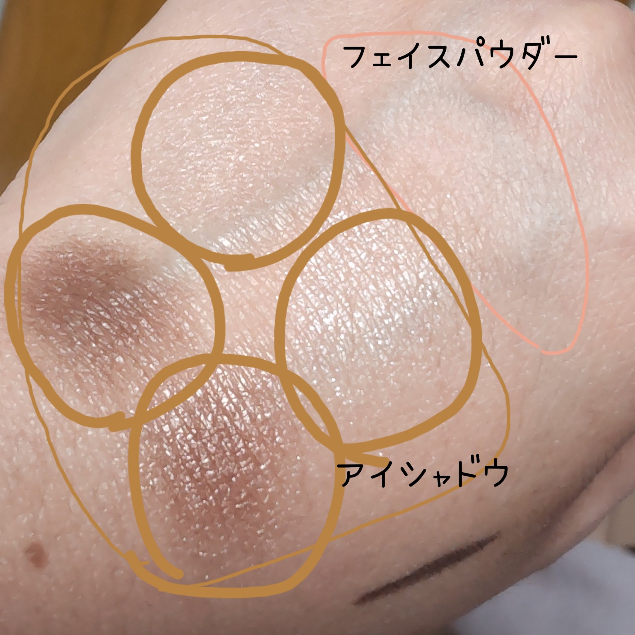 ウィンターダズル コレクション/DECORTÉ/メイクアップキットを使ったクチコミ（3枚目）