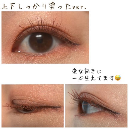 エテュセ アイエディション(マスカラベース)リッチスタイル/ヘルシースタイル/ettusais/マスカラ下地を使ったクチコミ(3枚目)