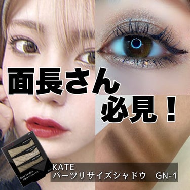 パーツリサイズシャドウ GN-1 モードアッシュ/KATE/アイシャドウパレットを使ったクチコミ（1枚目）