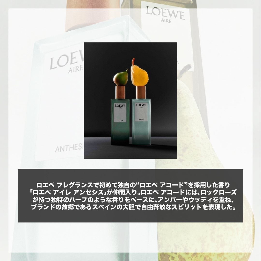 エスログ┊1日1分のモテ香水紹介 on LIPS 「.『ロエベ新作香水』🌳製品情報🌳LOEWEロエべアイレアンセシ..」(2枚目)