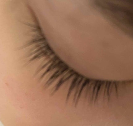 まつげ美容液EX/CEZANNE/まつげ美容液を使ったクチコミ(2枚目)