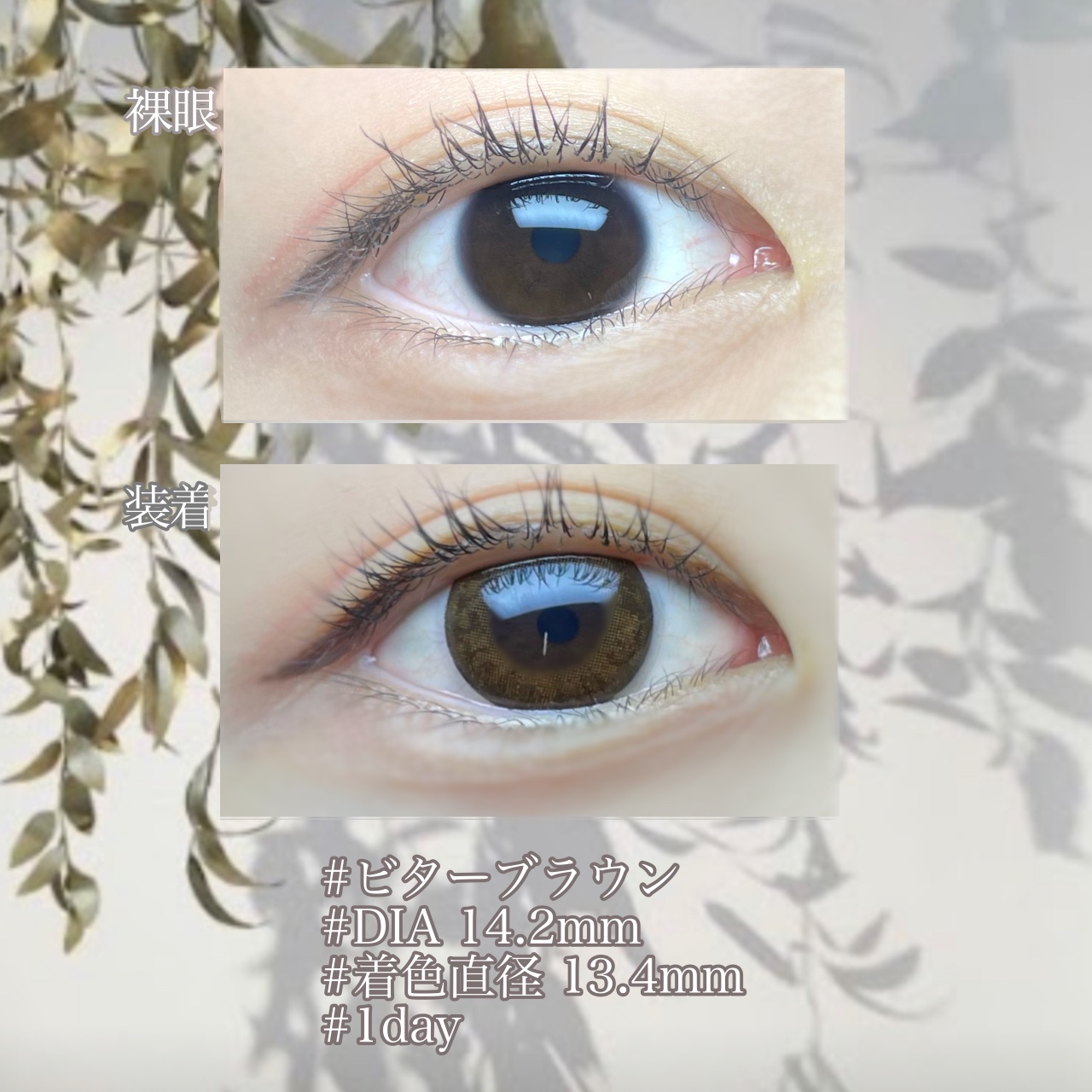  １DAY Refrear elebelle/Refrear/ワンデー（１DAY）カラコンを使ったクチコミ（2枚目）