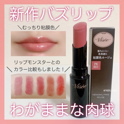 ネンマクフェイク ルージュ/Visée/口紅を使ったクチコミ(1枚目)