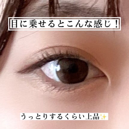 ニュアンス デューイ クリエイター/Visée/アイシャドウパレットを使ったクチコミ(4枚目)