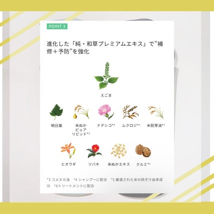 カラーケア&ベーストリートメント in シャンプー/コンディショナー/いち髪/市販シャンプーを使ったクチコミ(4枚目)