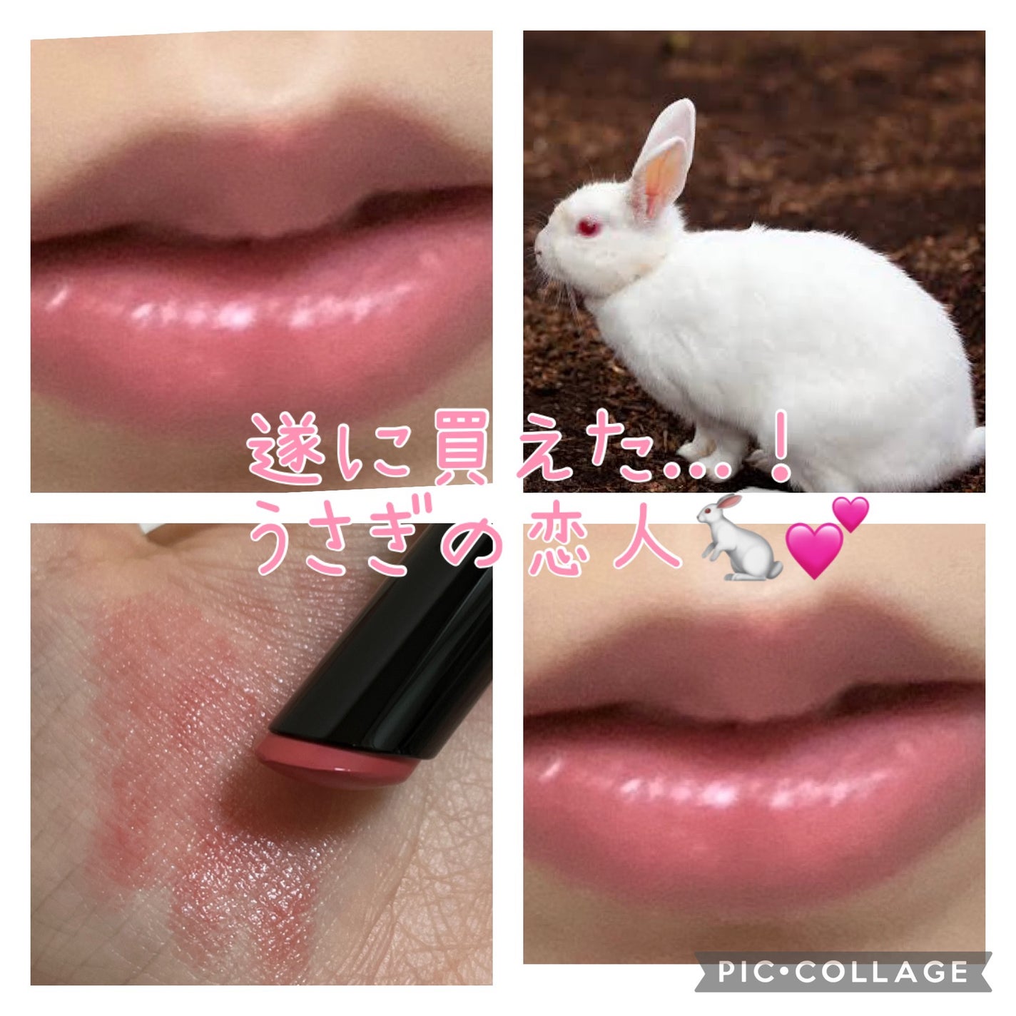 ネンマクフェイク ルージュ/Visée/口紅を使ったクチコミ(1枚目)