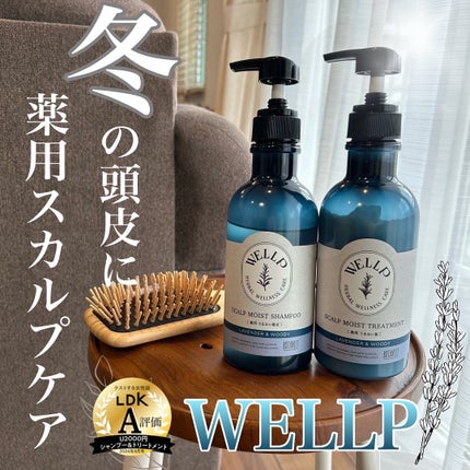 薬用スカルプケアシャンプー/トリートメント モイスト/WELLP/市販シャンプーを使ったクチコミ(1枚目)