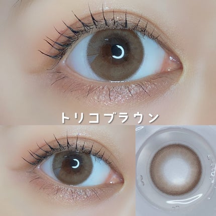 トリコニナル ワンデー/トリコニナル/ワンデー(1DAY)カラコンを使ったクチコミ(5枚目)