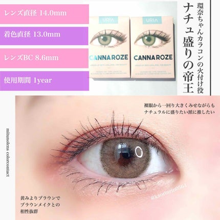 CANNA ROZE 1year/URIA i-DOL/カラーコンタクトレンズを使ったクチコミ(1枚目)