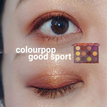 グッドスポーツ プレストパウダー シャドーパレット/ColourPop/アイシャドウパレットを使ったクチコミ（1枚目）