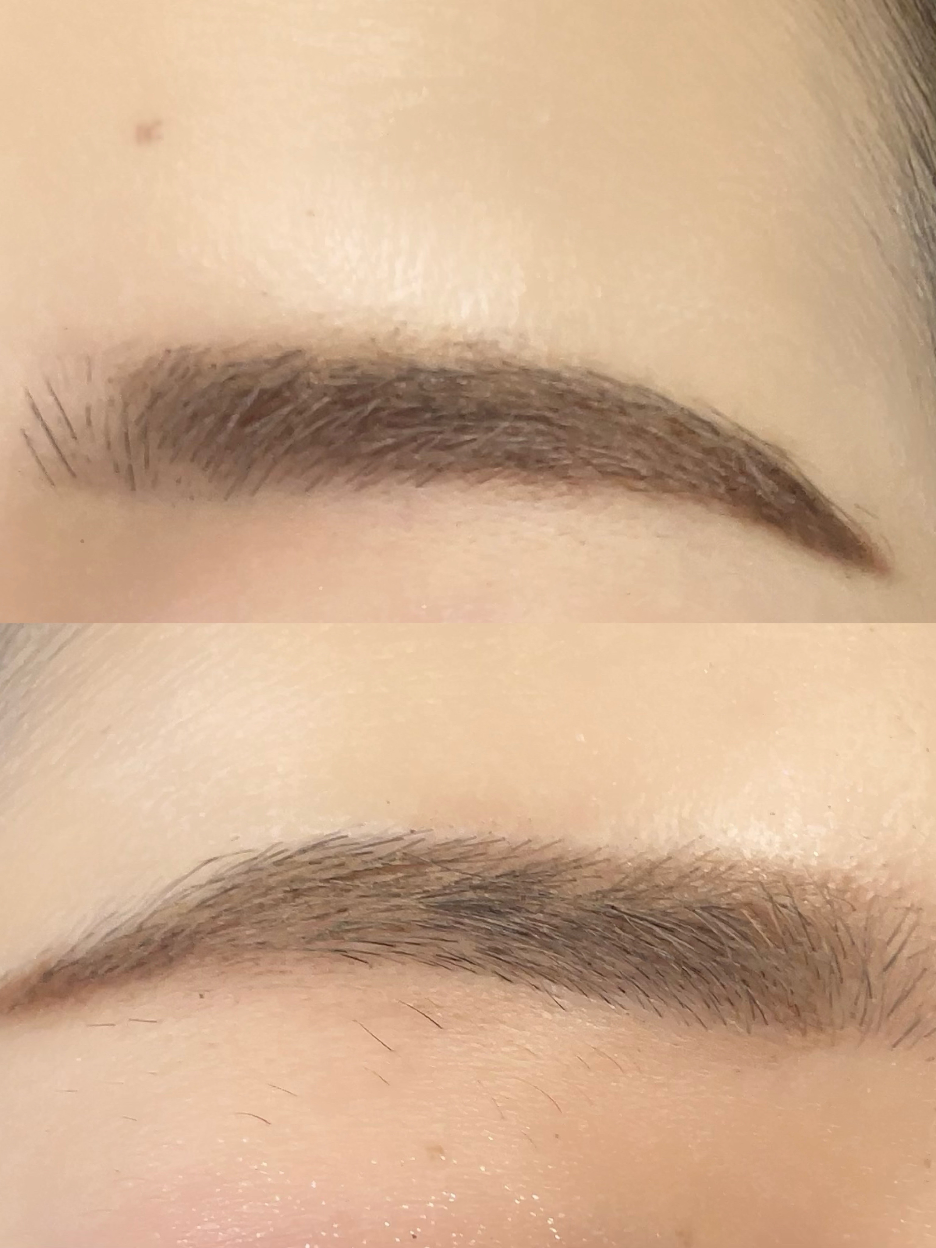 ノーズ＆アイブロウパウダー/CEZANNE/パウダーアイブロウを使ったクチコミ（2枚目）