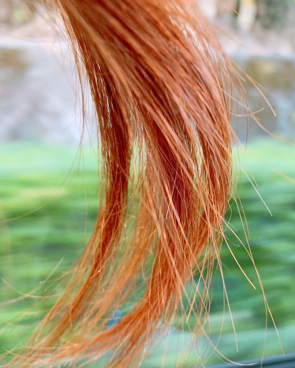 エブリ カラートリートメント/アンナドンナ/ヘアカラーを使ったクチコミ(3枚目)