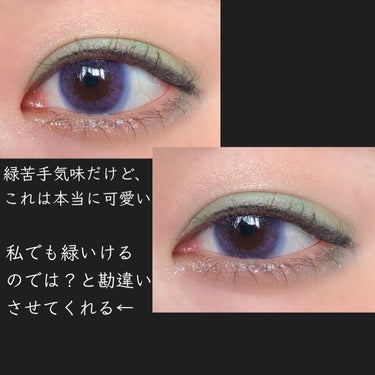 ColourPop Nook Incのクチコミ「【カラポ あつ森パレット たぬきちでメイク👀💓】

前に負け惜しみでエイブルシスターズでメイク.....」（2枚目）