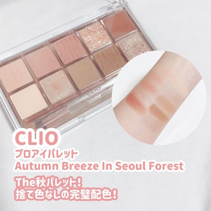 プレイカラー アイシャドウ/ETUDE/アイシャドウパレットを使ったクチコミ(3枚目)