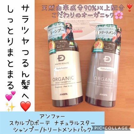 スカルプD ボーテ ナチュラスター スカルプシャンプー/トリートメントパック/アンファー(スカルプD)/シャンプー・コンディショナーを使ったクチコミ(1枚目)